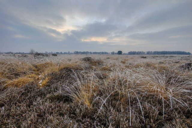 winterkamperen drenthe kerstvakantie