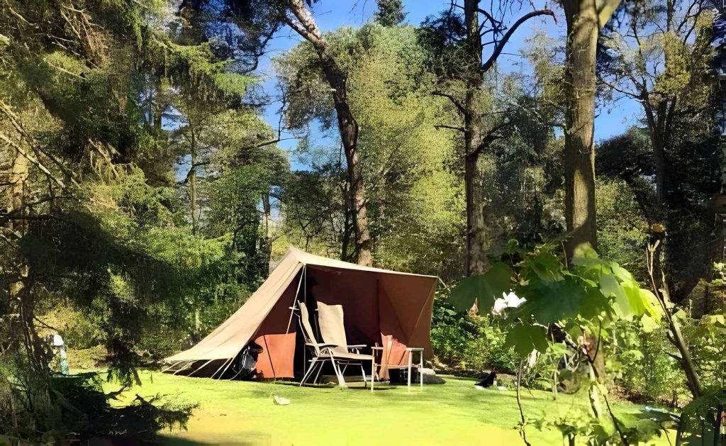 tweedehands tent kopen