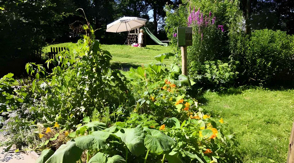 natuurkampeerterrein groningen