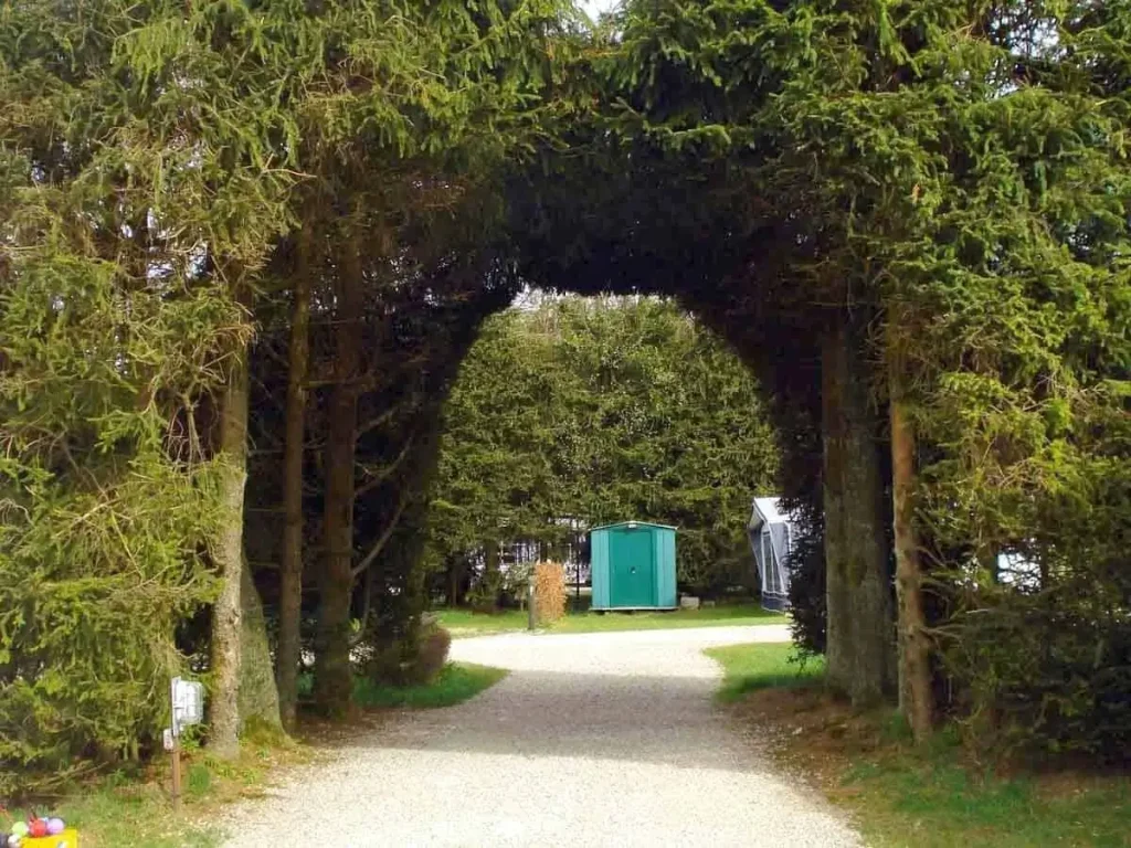 camping anderegg
