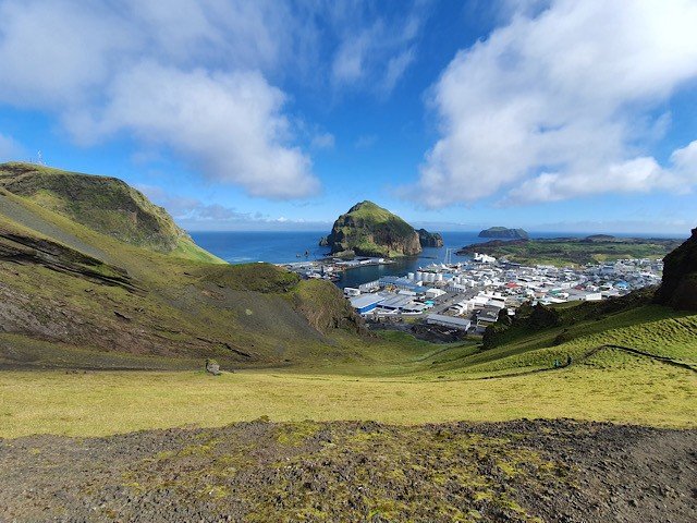 IMG 7780