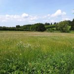 Camping Anderegg 11 Camping Anderegg 3 1 150x150