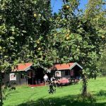 Camping De Kamperhoek 19 De Kamperhoek 2 2 150x150