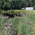 Camping Fraai 12 Fraai 8 150x150