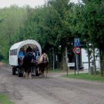 Natuurkampeerterrein Beek en Hei 12 camping beek en hei veluwe 1 150x150