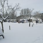Natuurkampeerterrein Beek en Hei 14 camping beek en hei veluwe 5 150x150