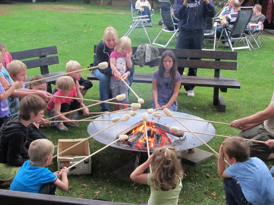 Natuurkampeerterrein Beek en Hei 3 camping beek en hei veluwe 6 907x680