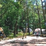 Natuurkampeerterrein Beek en Hei 8 camping beek en hei veluwe 8 150x150
