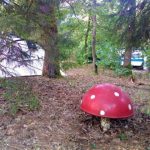 Camping De But 8 camping de but 3 150x150