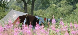 campings 3 camping de roos beerze 2 300x137