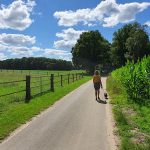 Kampeerterrein De Toekomst 13 camping de toekomst 150x150