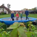 Minicamping De Hoge Hof 6 camping hoge hof 3 150x150