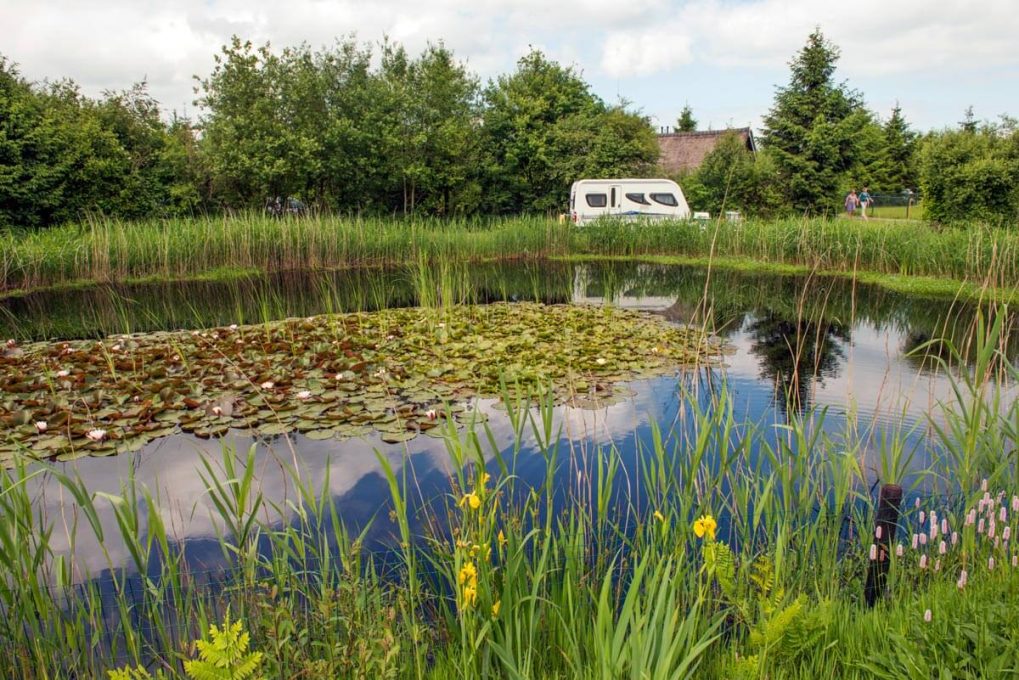 Landgoedcamping Tolhek 1 camping landgoed tolhek 1 1019x680