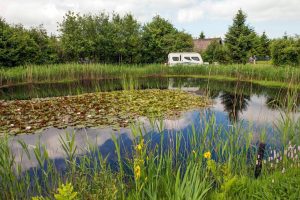 camping landgoed tolhek 1 300x200