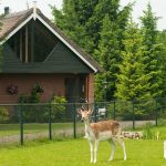 Landgoedcamping Tolhek 13 camping landgoed tolhek 3 150x150