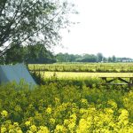 Camping Amstelkade 10 camping natuurkampeerterrein de amstelkade 7 150x150