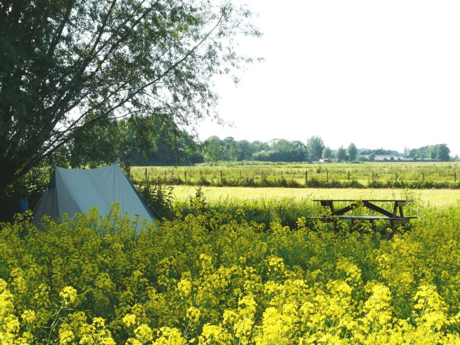 Camping Amstelkade 3 camping natuurkampeerterrein de amstelkade 7 906x680
