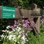 Natuurkampeerterrein De Haverkamp 20 camping natuurkampeerterrein de haverkamp 12 150x150