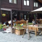 Camping Tonny 12 camping tonny ardennen 6 150x150
