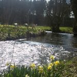 Camping Tonny 11 camping tonny ardennen 9 150x150
