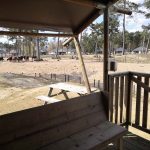 Back2Basic Camping Beekse Bergen 17 glamping beekse bergen 150x150