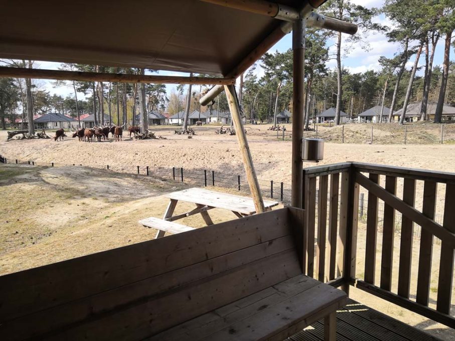 Back2Basic Camping Beekse Bergen 7 glamping beekse bergen 907x680