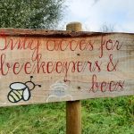Natuurcamping De Vlierhof 17 Bijen 1 150x150