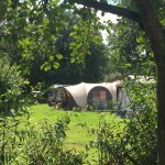 Camping Hof van Kolham 6 ED4B90AA 9DBF 4302 BE9C ACC79D835777 150x150