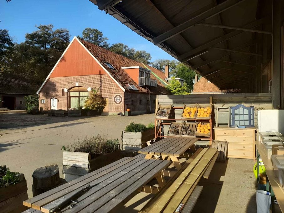 Boerderij De Zonnebloem 1 907x680