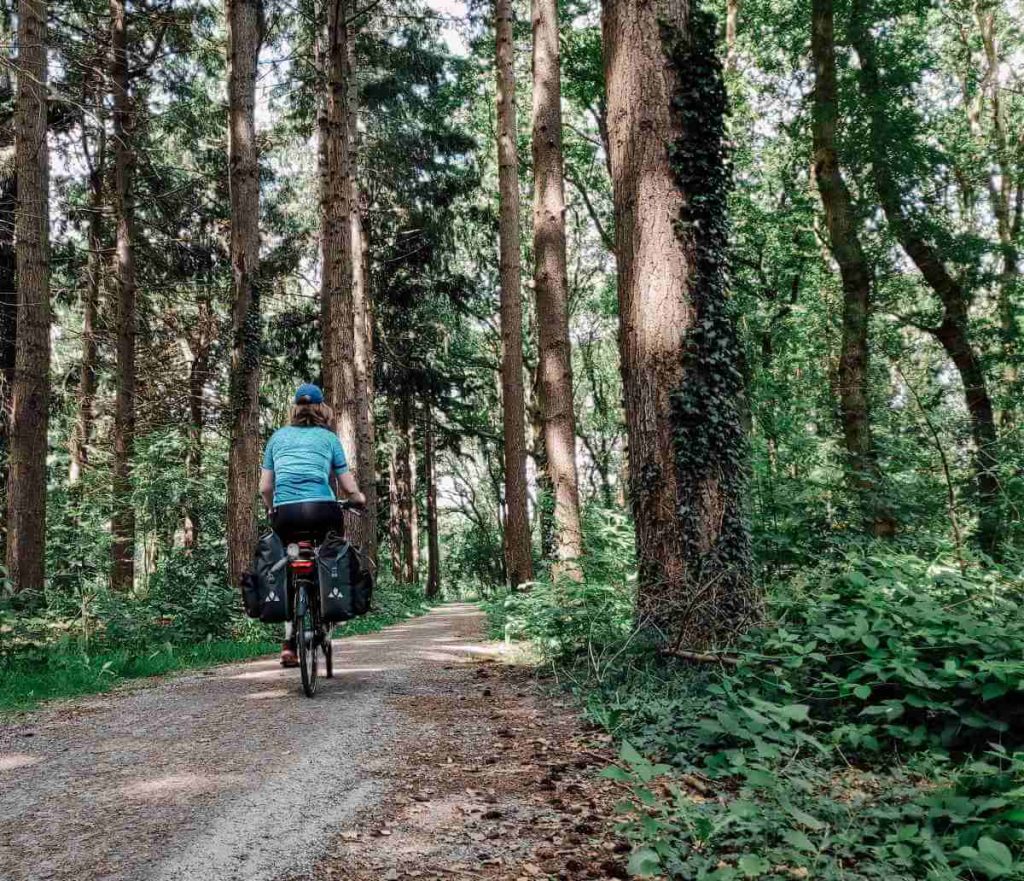 Fietsen door de bossen