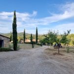 Agricampeggio Madonna di Pogi 12 kleine camping toscane 150x150