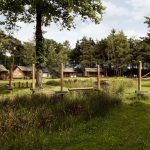 Natuurterrein de Wildenberg 19 wildenberg camping 150x150