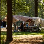 Natuurterrein de Wildenberg 13 wildenberg camping brabant 150x150