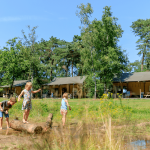 Natuurterrein de Wildenberg 11 wildenberg glamping 150x150