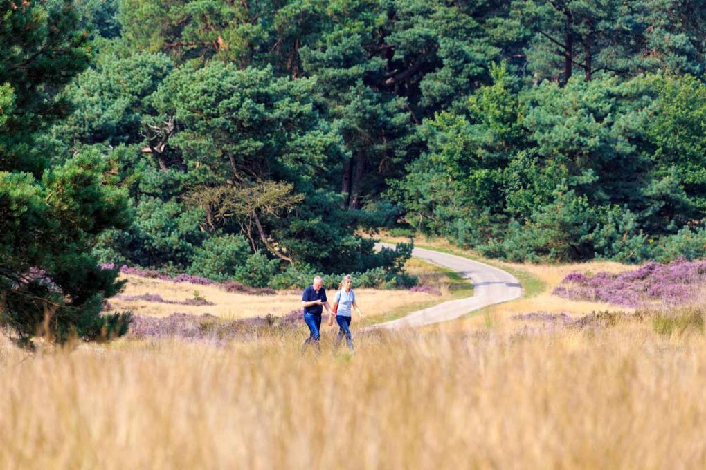 Huttopia De Veluwe 14 camping harskamperdennen veluwe 1020x680