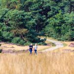 Huttopia De Veluwe 29 camping harskamperdennen veluwe 150x150