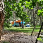 Huttopia De Veluwe 18 harskamperdennen camper 150x150