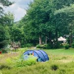 Camping De ReCreatie, creatieve natuurcamping 19 IMG E0524 1 150x150