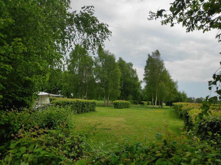 Natuurkampeerterrein De Rietkraag 9 Impressie kampeerplekken 2 1 907x680