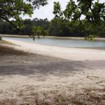 Bospark Aagjeshoeve 32 IMG 20190812 WA0012 kibbelkoele 150x150