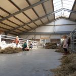 Bospark Aagjeshoeve 27 kleiner formaat 2 150x150