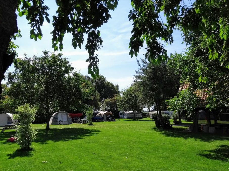 Camping Vorrelveen 9 29 Large 907x680