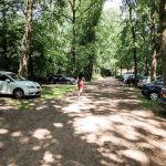 Natuurkampeerterrein de Hoevens 17 Natuurlijke parkeerplaats 150x150
