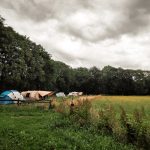 Natuurkampeerterrein de Hoevens 14 Tentenveld met uitzicht 150x150