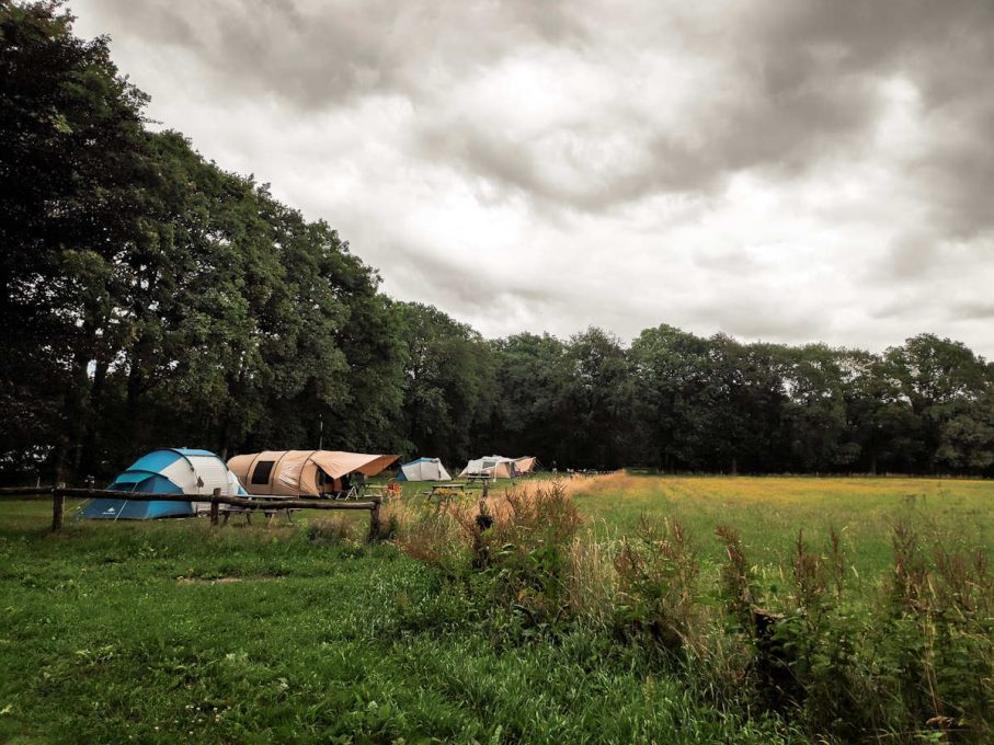 Natuurkampeerterrein de Hoevens 2 Tentenveld met uitzicht 907x680
