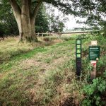 Natuurkampeerterrein de Hoevens 23 Wandelknooppuntenetwerk vanaf de camping 150x150