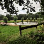 Natuurkampeerterrein de Hoevens 24 Zwem en visvijver 150x150