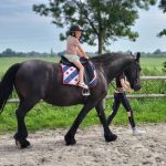 Camping Stadsboerderij De Sibbe 17 38A32B17 D648 4800 9F52 B7710B93A00E 150x150