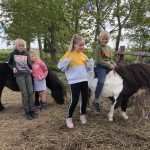 Camping Stadsboerderij De Sibbe 24 fullsizeoutput 200b 150x150