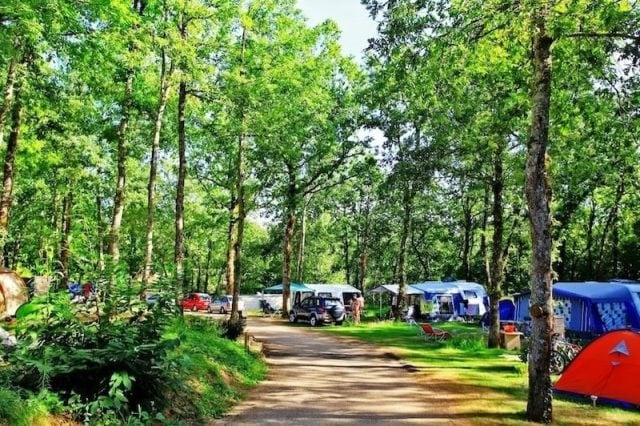 kindvriendelijke camping Dordogne, Domaine de Fromengal